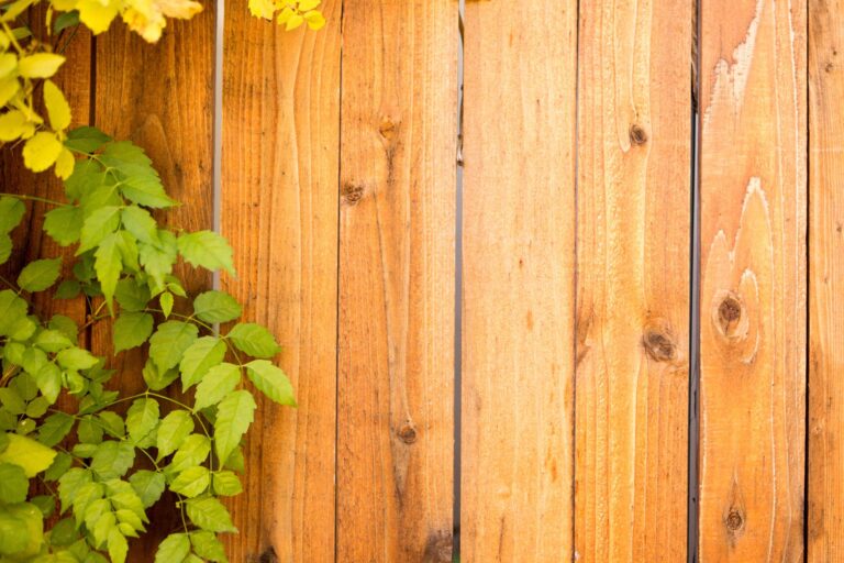 wood fence with leaves of plants on the side