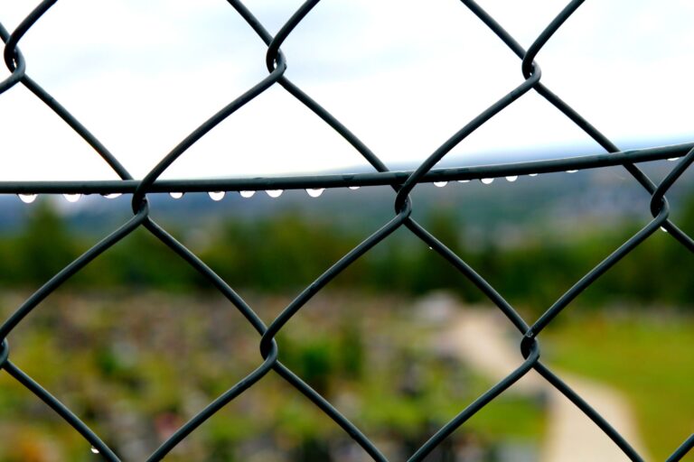 chain link fence wet from rain